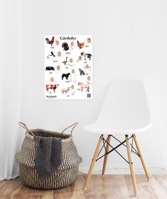 Plakat med bilder &amp; tegn - Gårdsdyr