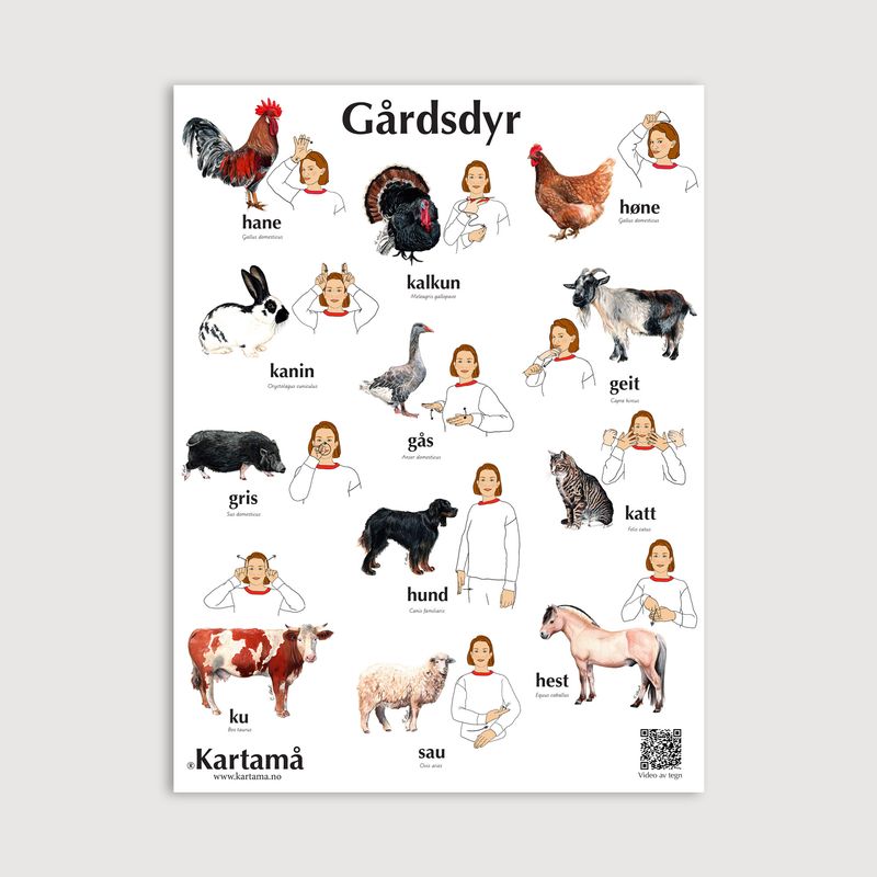 Plakat med bilder &amp; tegn - Gårdsdyr
