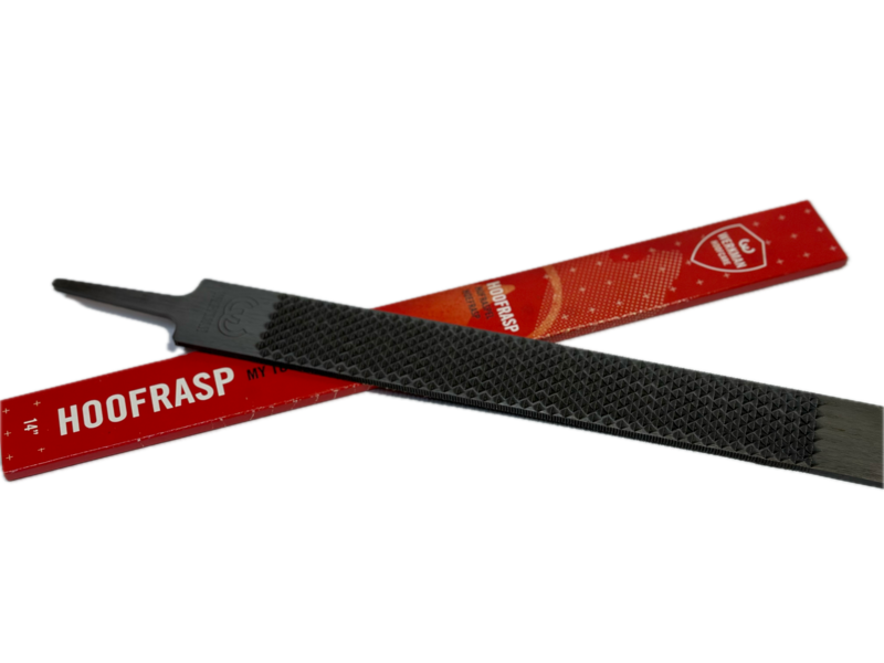 Hufraspel, Werkmann mit Angel, 350 mm Hufraspel, Werkmann mit Angel, 350 mm