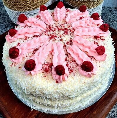 Chocolate Raspberry Lamington Cake