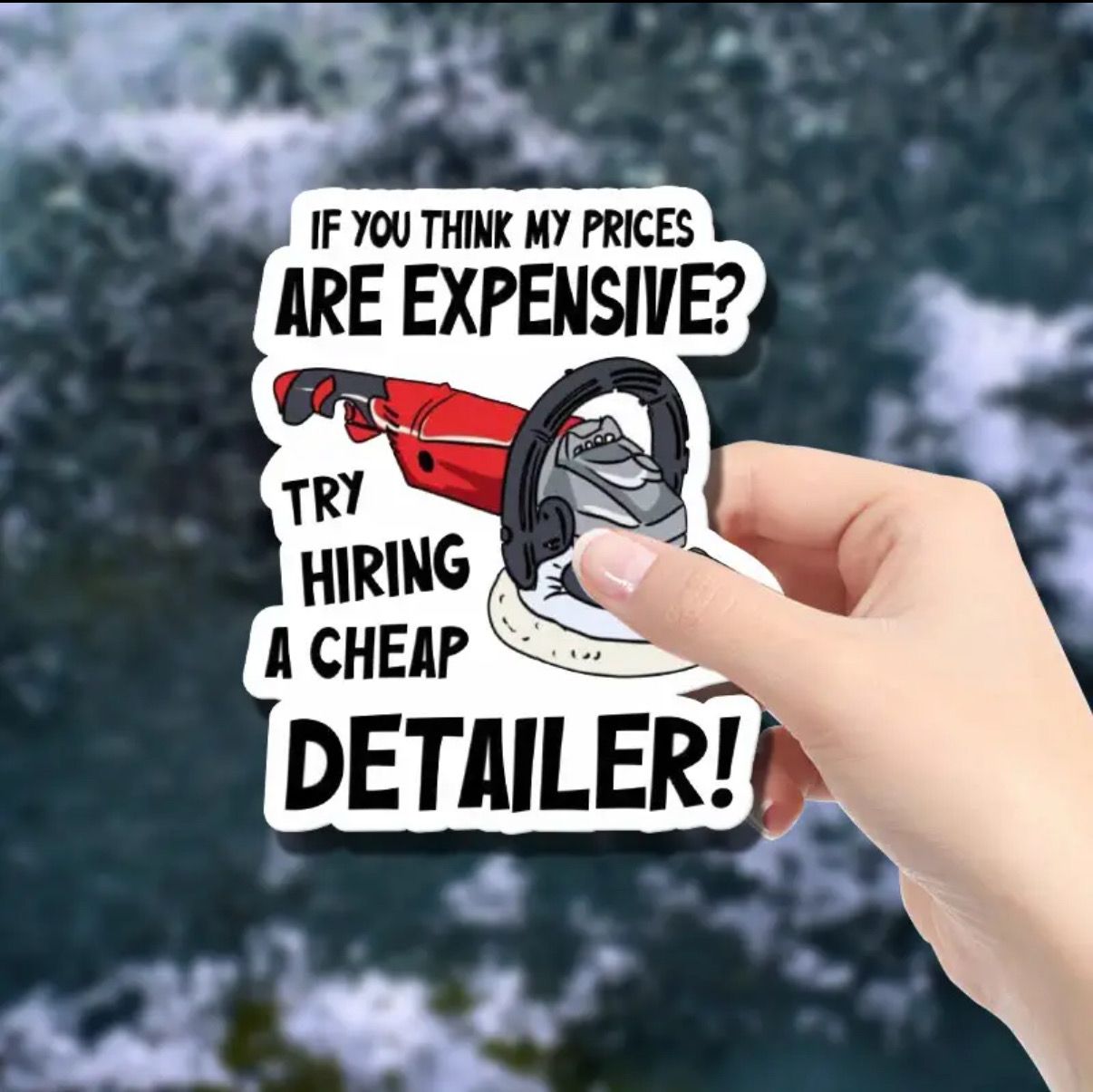 Vinyl Car Detailing Humor Decal