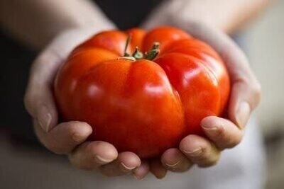 Tomatensamen "Roter saftiger Riese" / 50 Samen / Riesentomate / Gemüsesamen / Selbstversorger