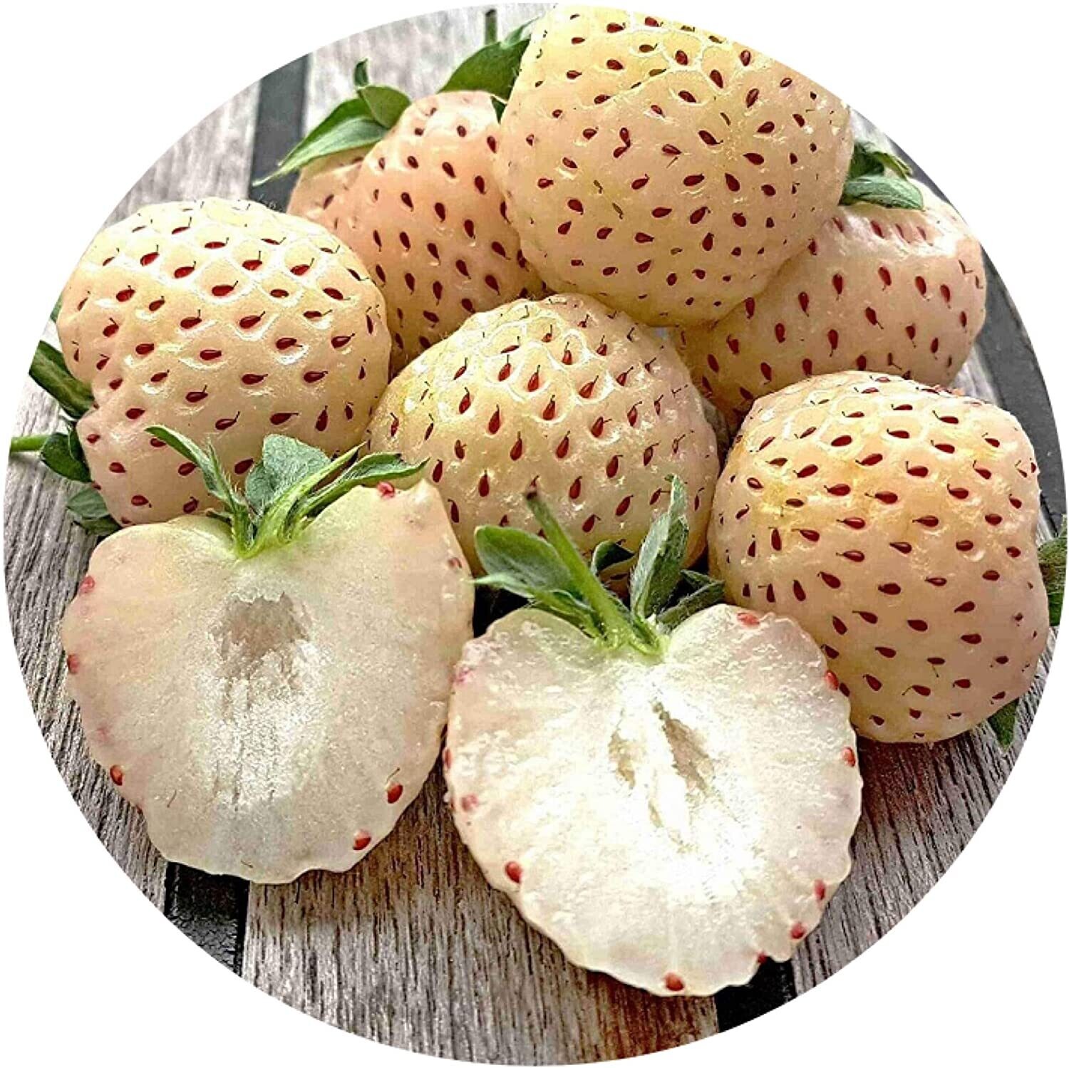 50 Samen weisse Erdbeere/Pineberry/Fragaria x ananassa/Pineapple strawberry/Ananas Erdbeere