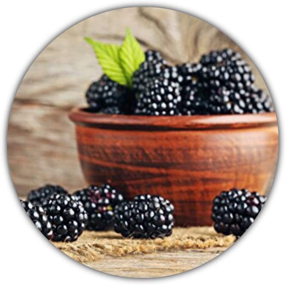 Riesen Brombeeren - 50 Samen - Gesunde und Vitaminreiche Früchte