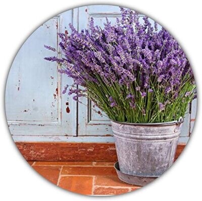 Lavendel (Lavandula angustifolia) - 50 Samen/Zum Würzen für Speisen oder als Blickfang/Intensiver Geruch