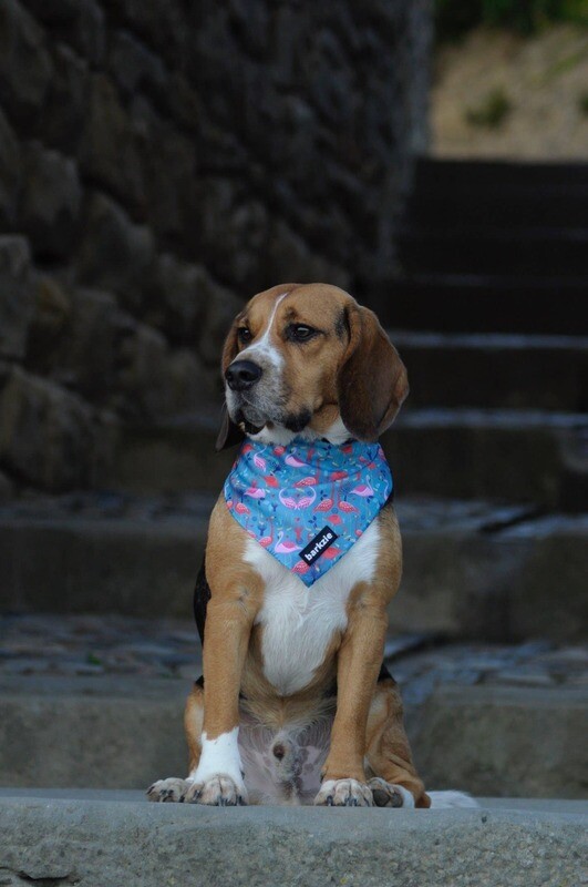 &quot;Lisbon&quot; Cooling Bandana