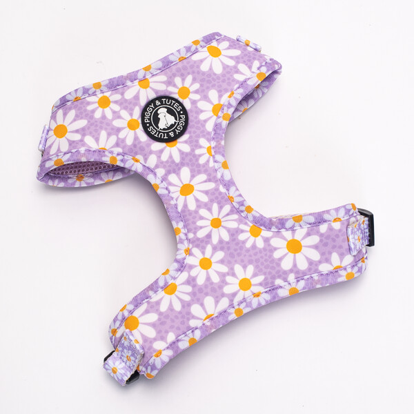 &quot;Crazy Daisy&quot; Harness MEDIUM And Lead
