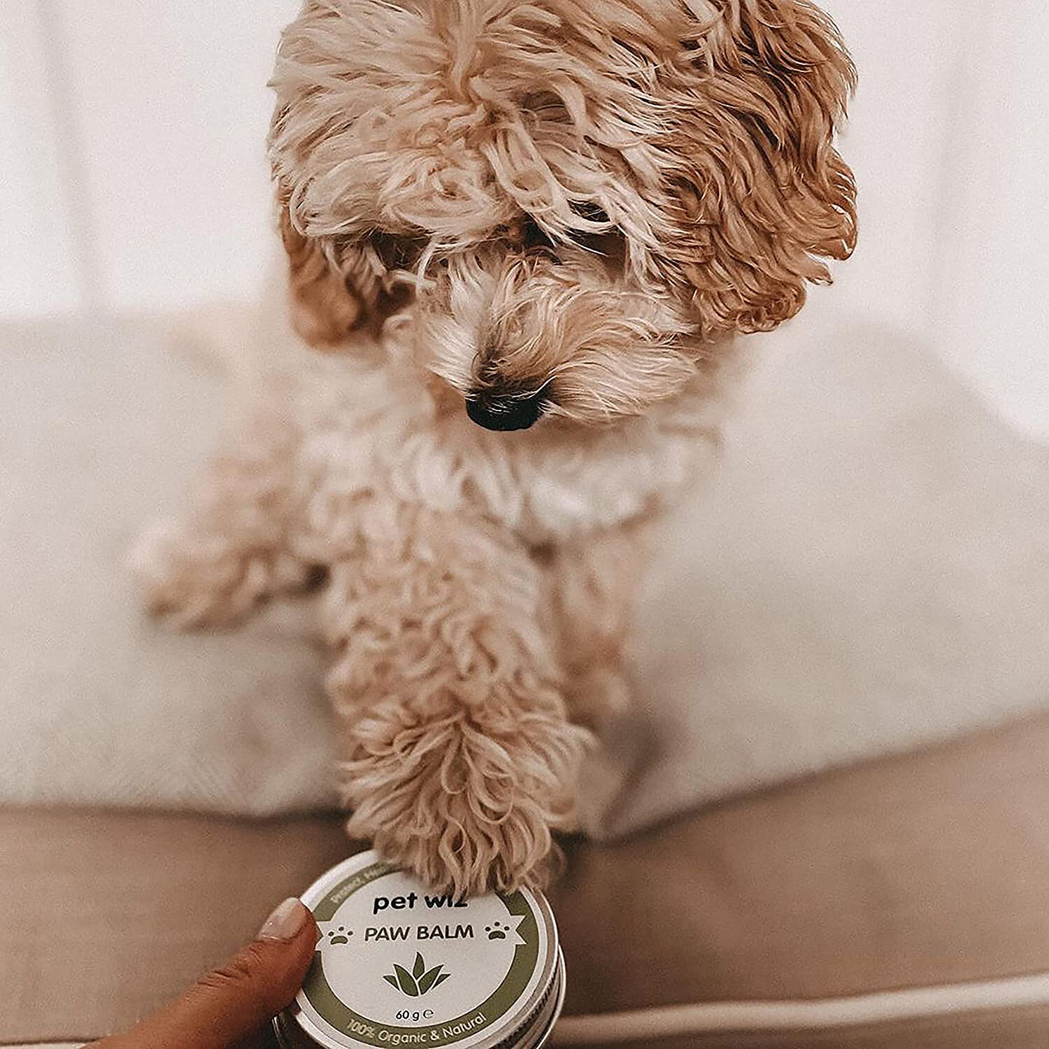 Organic Paw &amp; Nose Balm