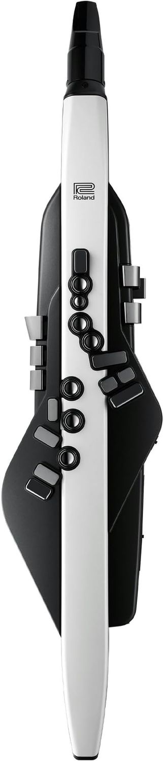 Roland Aerophone AE-20 Digital Wind Instrument
