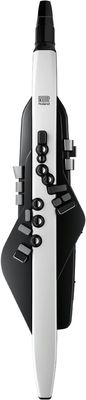 Roland Aerophone AE-20 Digital Wind Instrument
