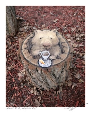 Wombat Advice, Logged on 24/7 - 8