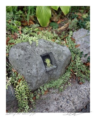 Waiting for Whirligigs - 8