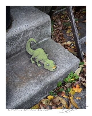 Cretaceous-Deciduous Standoff - 8