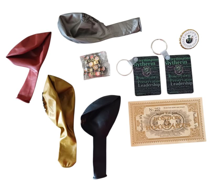 Harry Potter Slytherin Keyrings &amp; Collectibles Gift Set