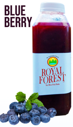 Royal Forest Sea Moss Fruit Shakes (Blueberry)