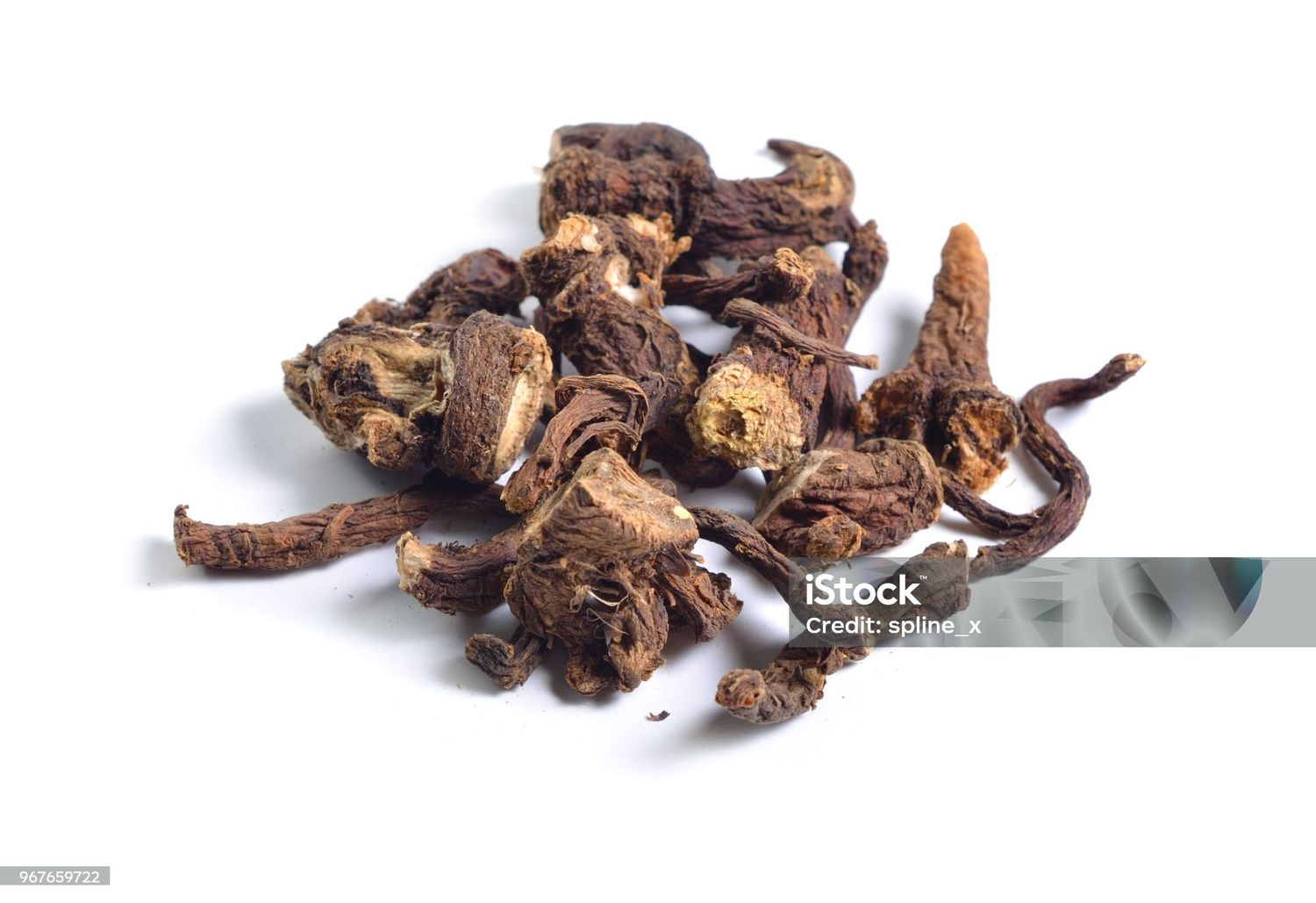 Herb - Dandelion Root (4 oz)