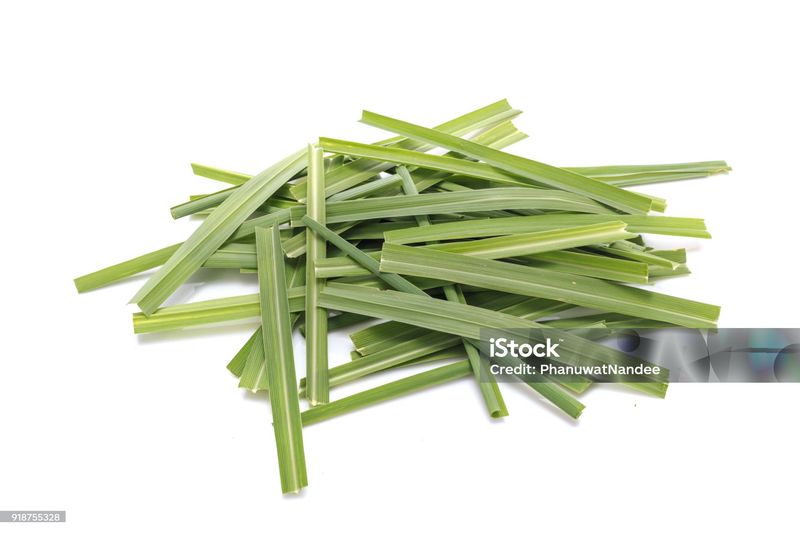 Herb - Lemongrass (Cymbopogon) (4 oz)