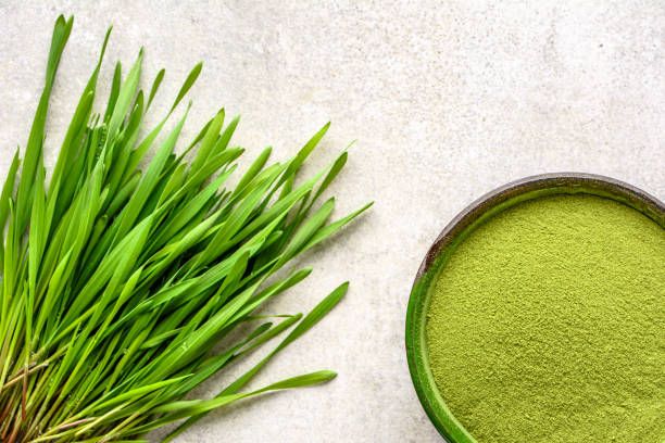 Herb - Spirulina Powder (4 oz)