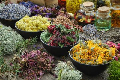 The Herbs and Roots Shop