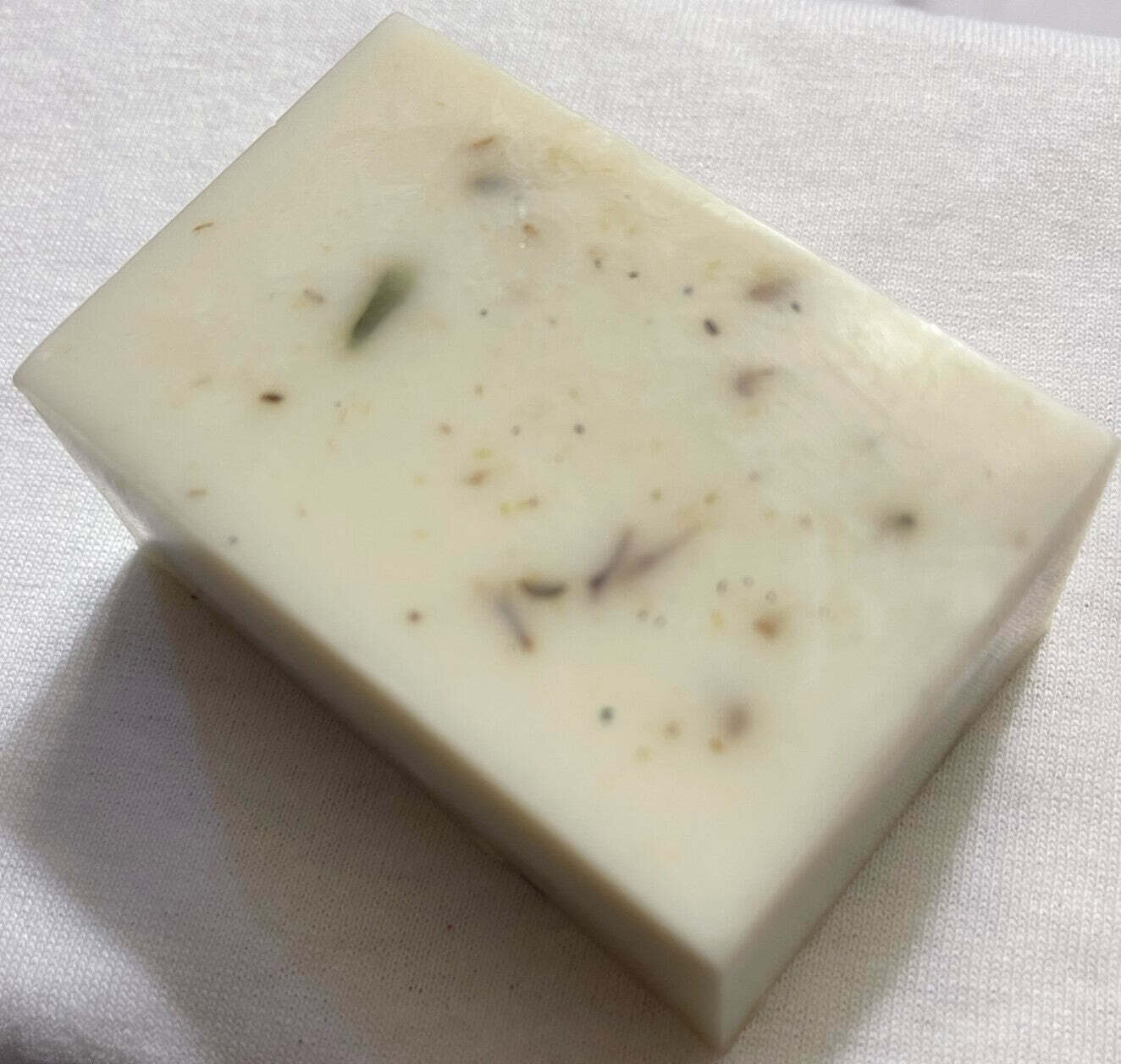 SOAP: Tea Tree Soap infused with Sea Moss