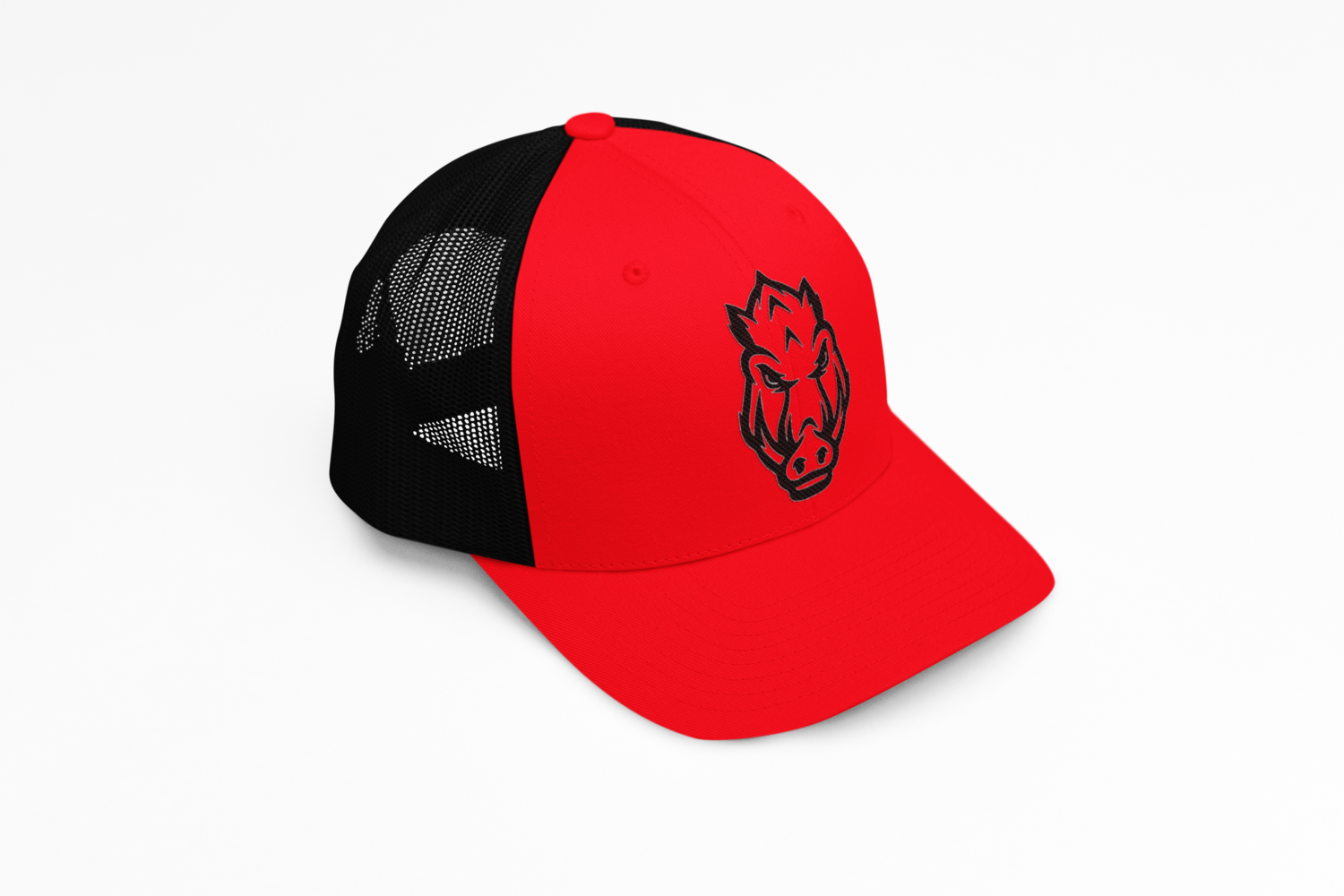 BALL HAWGZ HAT