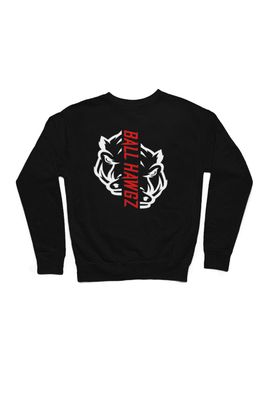 BALL HAWGZ SWEATSHIRT