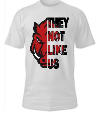 THEY NOT LIKE US BALL HAWGZ TEE