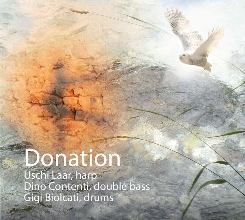 CD - Donation