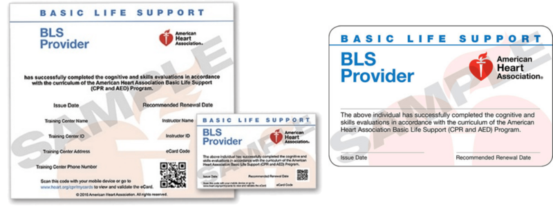 Renewal Course (AHA) Basic Life Support (BLS)