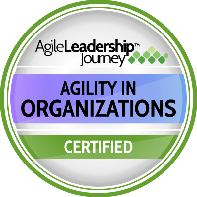 Agility in Organizations