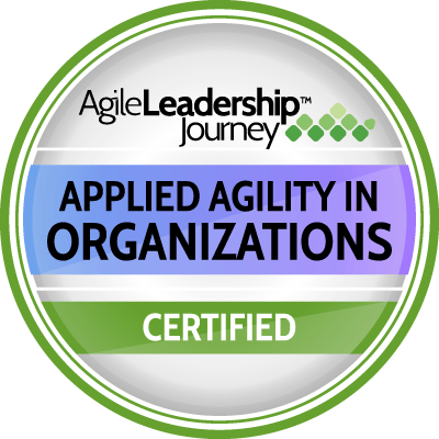 Applied Agility in Organizations
