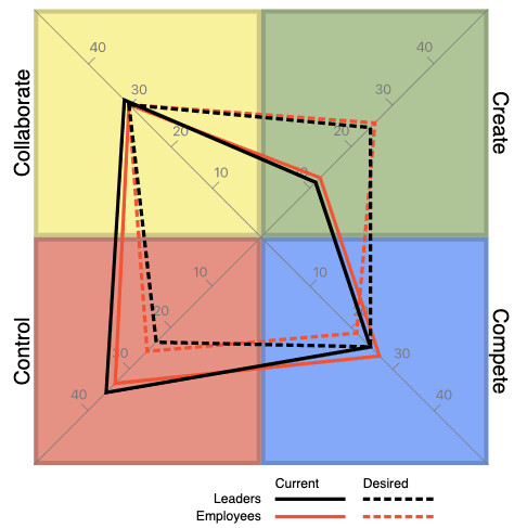 Culture Values 360 Assessment for Organization