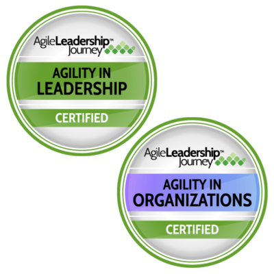 Agility in Leadership & Organizations