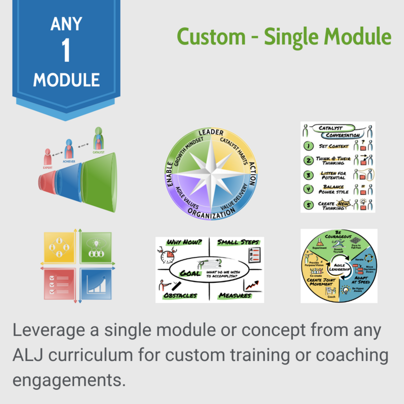 Custom Single Module