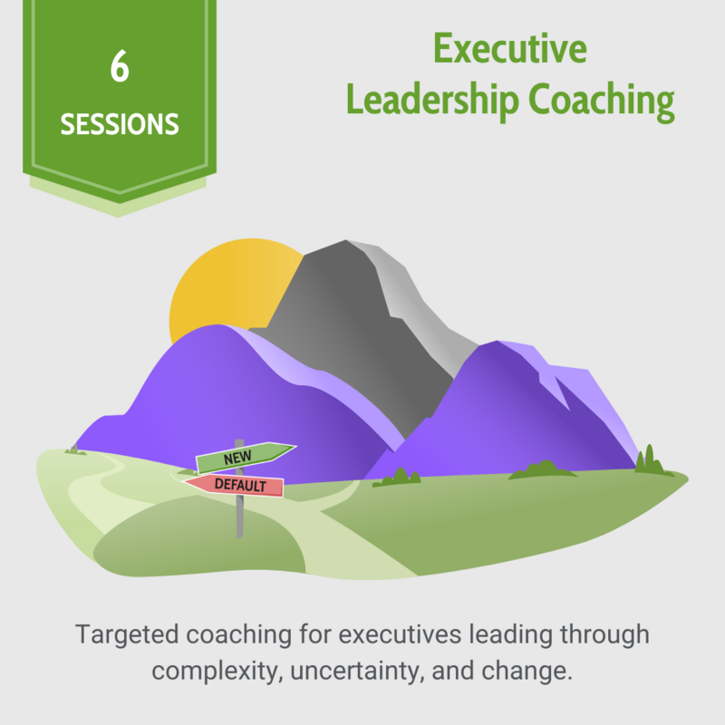 Executive Leadership Coaching