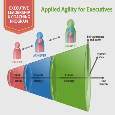Applied Agility for Executive Leadership
