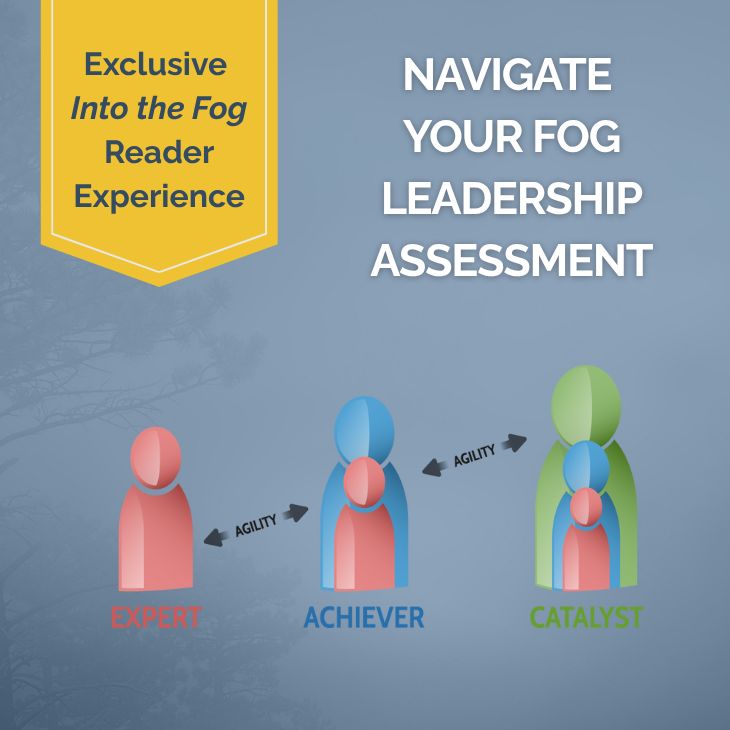 Navigate Your Fog Leadership Assessment Navigate Your Fog Leadership Assessment