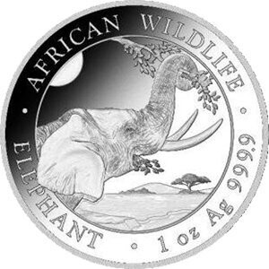 Somalia Elefant 2023