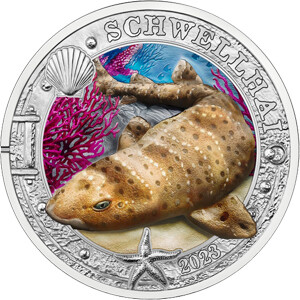 Österreich 3 € Meereswelten (02) 2023 Schwellhai