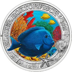 Österreich 3 € Meereswelten (07) 2024 Doktorfisch Österreich 3 € Meereswelten (07) 2024 Doktorfisch