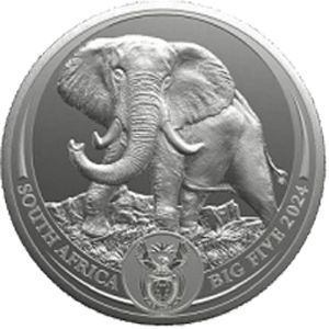 Südafrika "Big Five III - Elefant" 2024