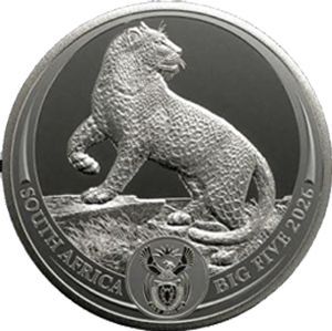 Südafrika "Big Five Leopard" 2026