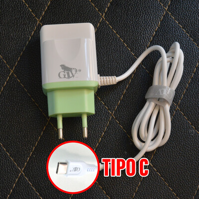 Cargador Doble USB 2.4A | GIV A103 Tipo C