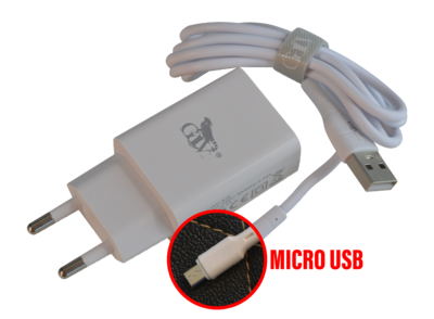 CARGADOR 2.1A GIV A20 | C/CABLE MICRO USB