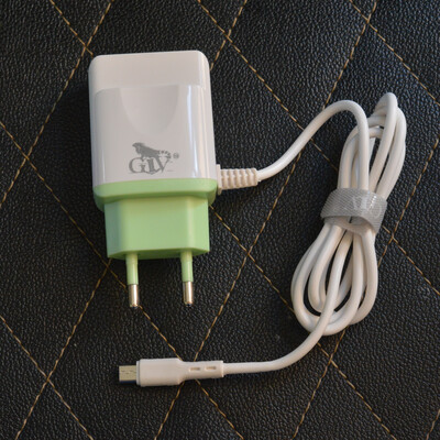 Cargador Doble USB 2.4A | GIV A103 con cable Micro USB