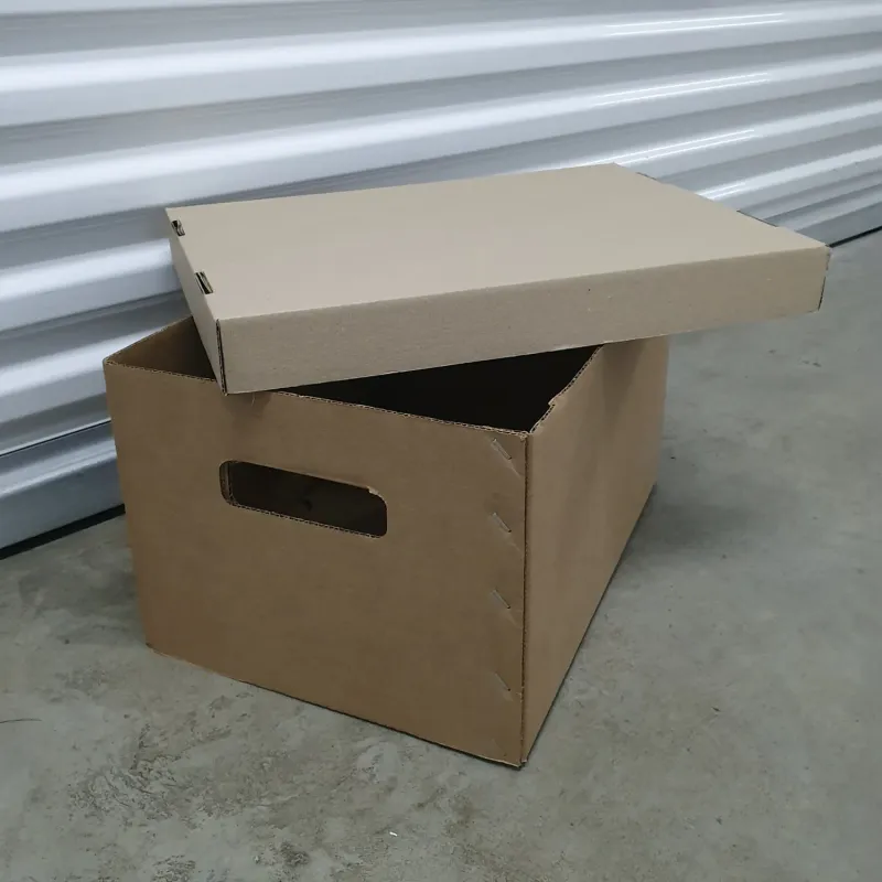 New Office File Box with Lid and Handles