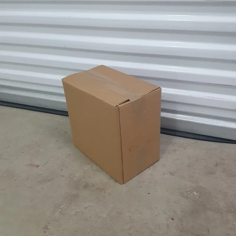 Packer 1 