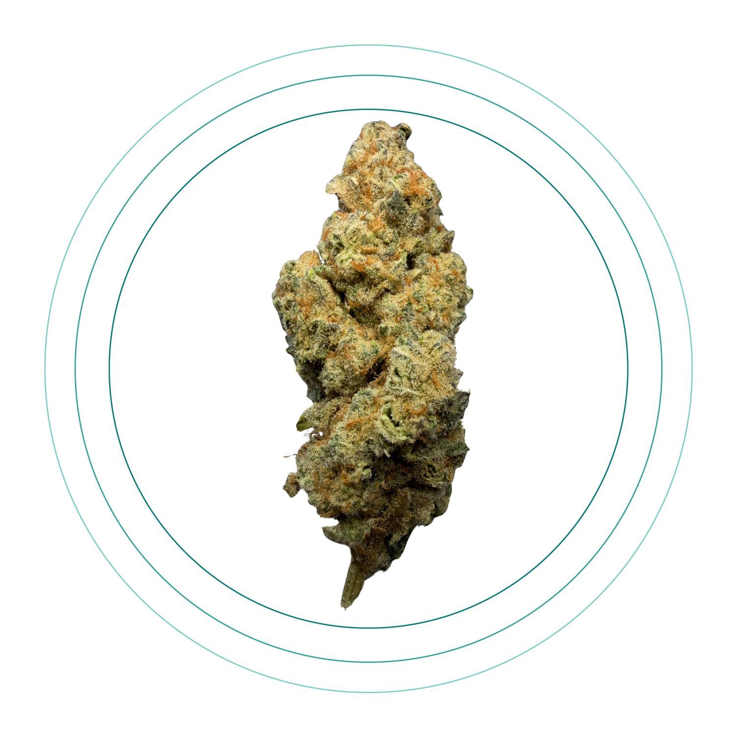 Super Nova Exotic, Pack Size: 1g, Product Type: Flower