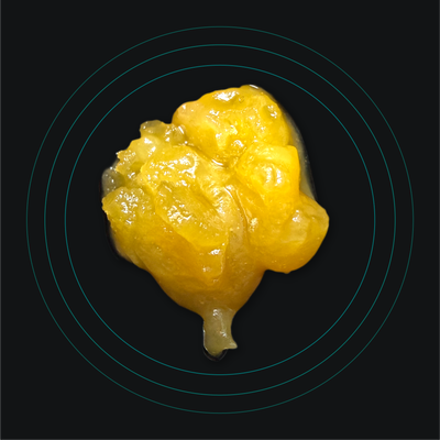 Lemon Cherry Gelato