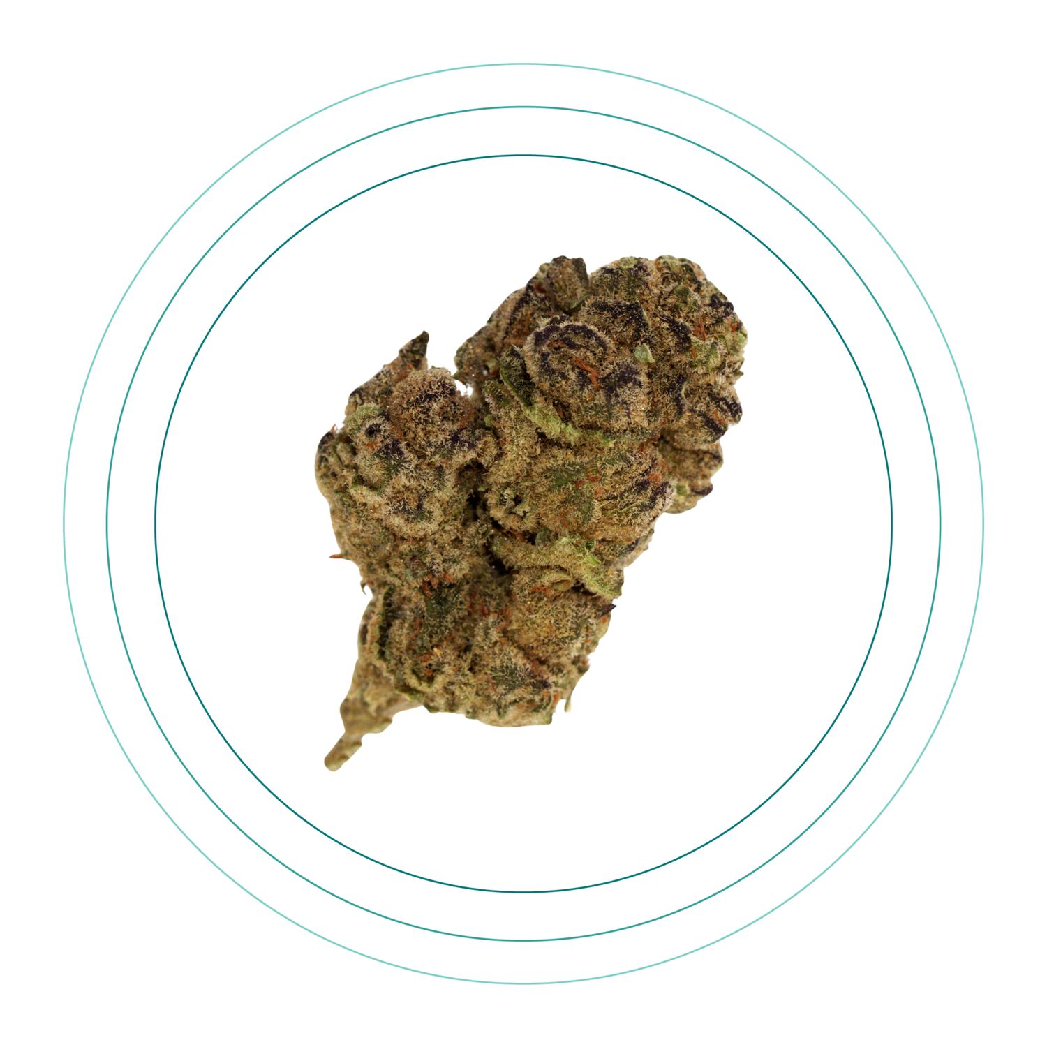 Blue Berry Sherbet